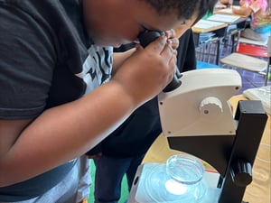 3. Use of microscope to analyze samples